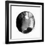 New Moon II-PI Studio-Framed Art Print