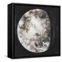 New Moon II-Sydney Edmunds-Framed Stretched Canvas