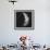 New Moon III-Sydney Edmunds-Framed Giclee Print displayed on a wall