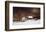 New Moon-Ray Hendershot-Framed Art Print