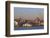 New Mosque, Golden Horn, Istanbul, Turkey, Europe-Neil Farrin-Framed Photographic Print