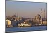 New Mosque, Golden Horn, Istanbul, Turkey, Europe-Neil Farrin-Mounted Photographic Print