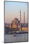 New Mosque, Golden Horn, Istanbul, Turkey, Europe-Neil Farrin-Mounted Photographic Print