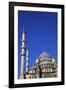 New Mosque (Yeni Camii), Istanbul, Turkey-Neil Farrin-Framed Photographic Print