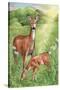 New Mother and Fawn-Melinda Hipsher-Stretched Canvas