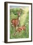 New Mother and Fawn-Melinda Hipsher-Framed Giclee Print