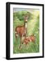 New Mother and Fawn-Melinda Hipsher-Framed Giclee Print