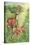 New Mother and Fawn-Melinda Hipsher-Stretched Canvas
