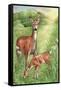 New Mother and Fawn-Melinda Hipsher-Framed Stretched Canvas