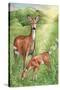 New Mother and Fawn-Melinda Hipsher-Stretched Canvas