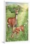 New Mother and Fawn-Melinda Hipsher-Framed Giclee Print