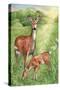 New Mother and Fawn-Melinda Hipsher-Stretched Canvas