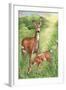 New Mother and Fawn-Melinda Hipsher-Framed Giclee Print