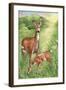 New Mother and Fawn-Melinda Hipsher-Framed Giclee Print