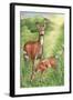 New Mother and Fawn-Melinda Hipsher-Framed Giclee Print