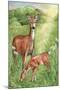 New Mother and Fawn-Melinda Hipsher-Mounted Giclee Print