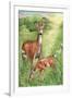 New Mother and Fawn-Melinda Hipsher-Framed Giclee Print