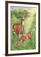 New Mother and Fawn-Melinda Hipsher-Framed Giclee Print