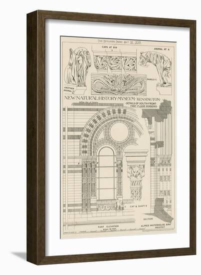 New Natural History Museum, South Kensington, London-null-Framed Giclee Print