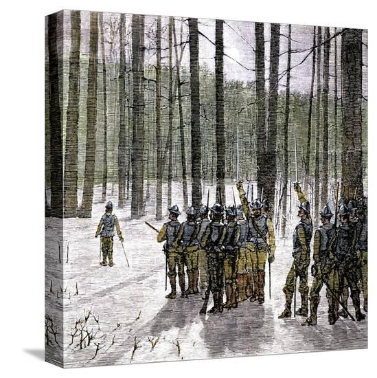 Stretched Canvas Print, , large