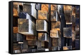 New Oak City-Francois Casanova-Framed Stretched Canvas