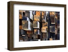 New Oak City-Francois Casanova-Framed Photographic Print