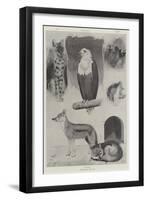 New Occupants of the Zoo-Cecil Aldin-Framed Giclee Print