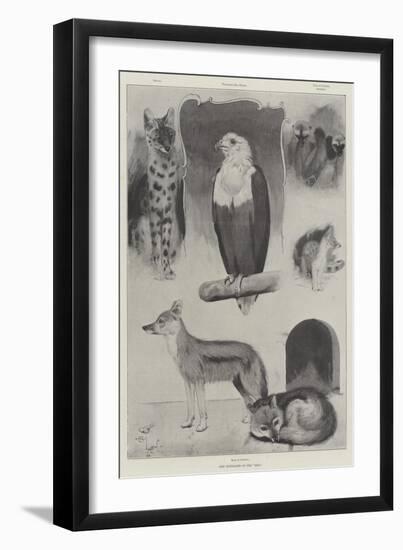 New Occupants of the Zoo-Cecil Aldin-Framed Premium Giclee Print