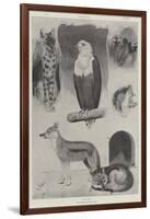 New Occupants of the Zoo-Cecil Aldin-Framed Giclee Print