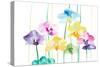 New Orchids-Patricia Pinto-Stretched Canvas