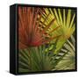 New Organic II-Patricia Pinto-Framed Stretched Canvas