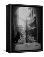 New Orleans' French Quarter is Famous for its Intricate Ironwork Gates and Balconies-null-Framed Stretched Canvas