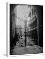 New Orleans' French Quarter is Famous for its Intricate Ironwork Gates and Balconies-null-Framed Photographic Print