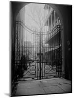 New Orleans' French Quarter is Famous for its Intricate Ironwork Gates and Balconies-null-Mounted Photographic Print