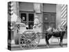 New Orleans, La., a Typical Milk Cart-null-Stretched Canvas