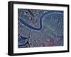 New Orleans, Louisiana-Stocktrek Images-Framed Photographic Print