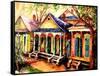 New Orleans Shotgun Houses-Diane Millsap-Framed Stretched Canvas