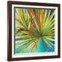 New Palmera I-Patricia Pinto-Framed Premium Giclee Print