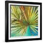 New Palmera I-Patricia Pinto-Framed Premium Giclee Print