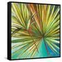 New Palmera I-Patricia Pinto-Framed Stretched Canvas