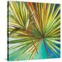 New Palmera I-Patricia Pinto-Stretched Canvas