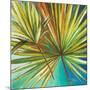 New Palmera I-Patricia Pinto-Mounted Premium Giclee Print