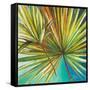 New Palmera I-Patricia Pinto-Framed Stretched Canvas