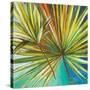 New Palmera I-Patricia Pinto-Stretched Canvas