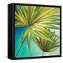 New Palmera II-Patricia Pinto-Framed Stretched Canvas