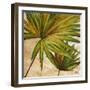 New Palmera Take Two II-Patricia Pinto-Framed Art Print