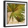 New Palmera Take Two II-Patricia Pinto-Framed Art Print