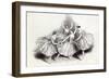 New Pas de Quatre, by Mdlles. Taglioni, C. Grisi, L. Grahn, and Cerito, at her Majesty's Theatre-null-Framed Giclee Print