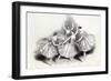 New Pas de Quatre, by Mdlles. Taglioni, C. Grisi, L. Grahn, and Cerito, at her Majesty's Theatre-null-Framed Giclee Print