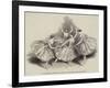 New Pas De Quatre-null-Framed Giclee Print